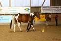 23-APHA SS_035